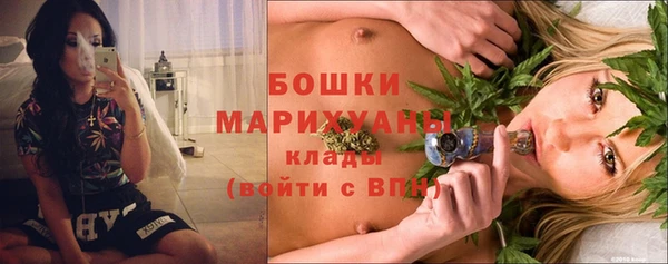 PSILOCYBIN Богданович